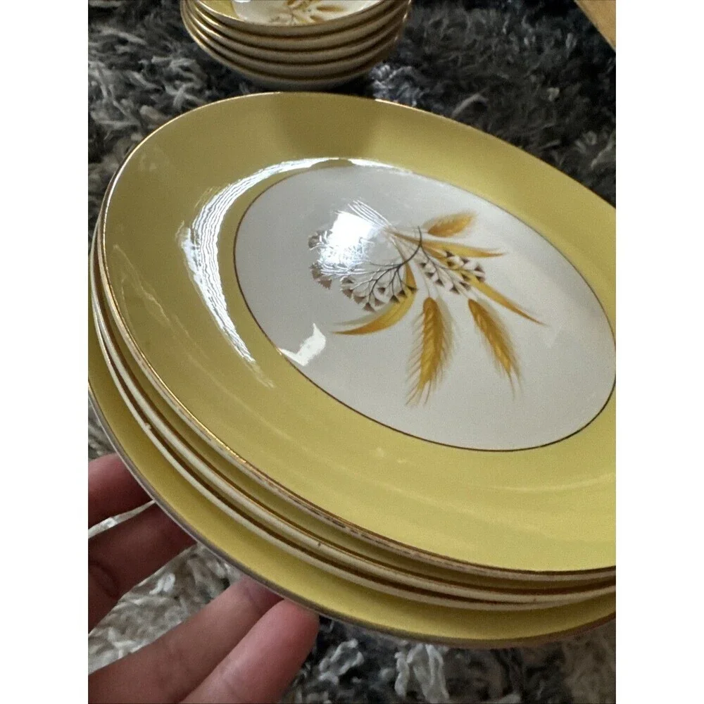 20 Piece Century Service Corp Autumn Gold Dinner Plate Plates and Bowls